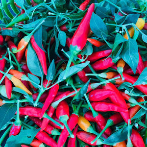 Meet your Posher, Charles